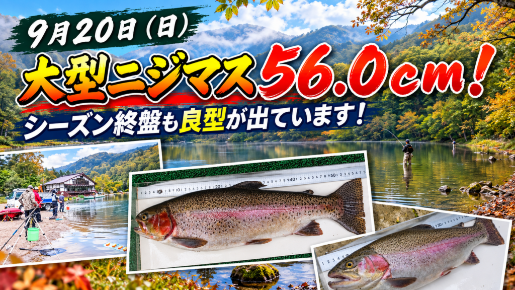 大型ニジマス釣れてます！